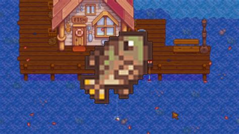 how to catch tilapia stardew valley|how to catch walleye stardew valley.